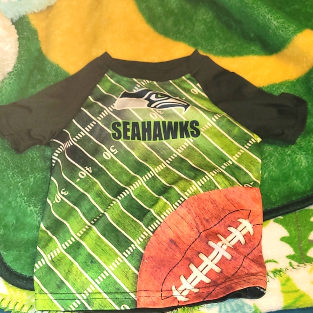 Seahawks shirt 4t